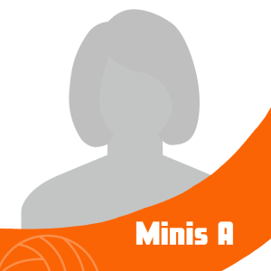 Minis A
